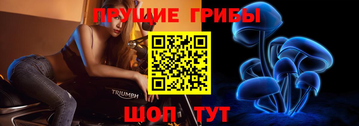 Галлюциногенные грибы прущие грибы Долгопрудный